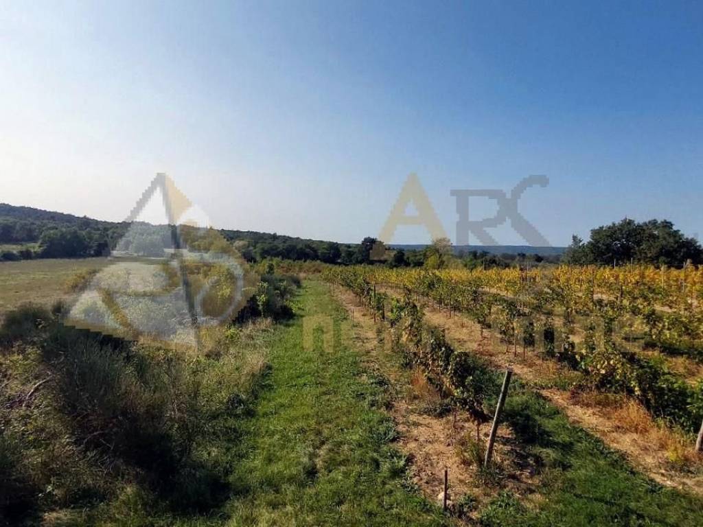 Poljoprivredno zemljište, Prodaja, Labin, Bartici