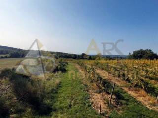 Poljoprivredno zemljište, Prodaja, Labin, Bartici