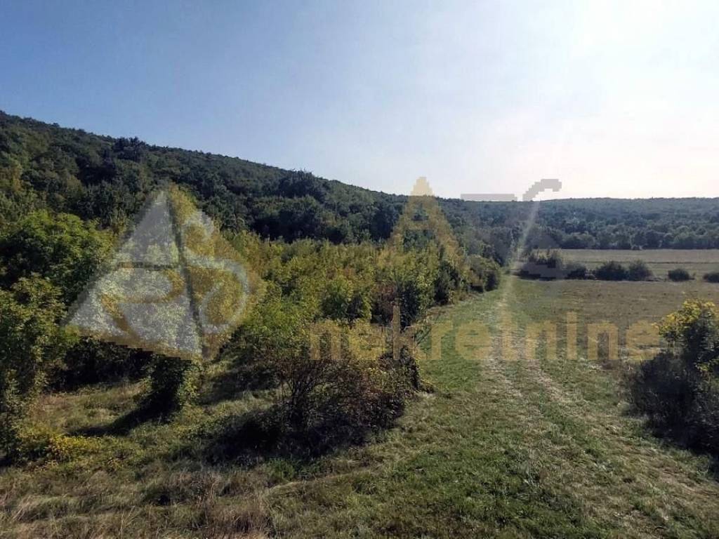 Poljoprivredno zemljište, Prodaja, Labin, Bartici