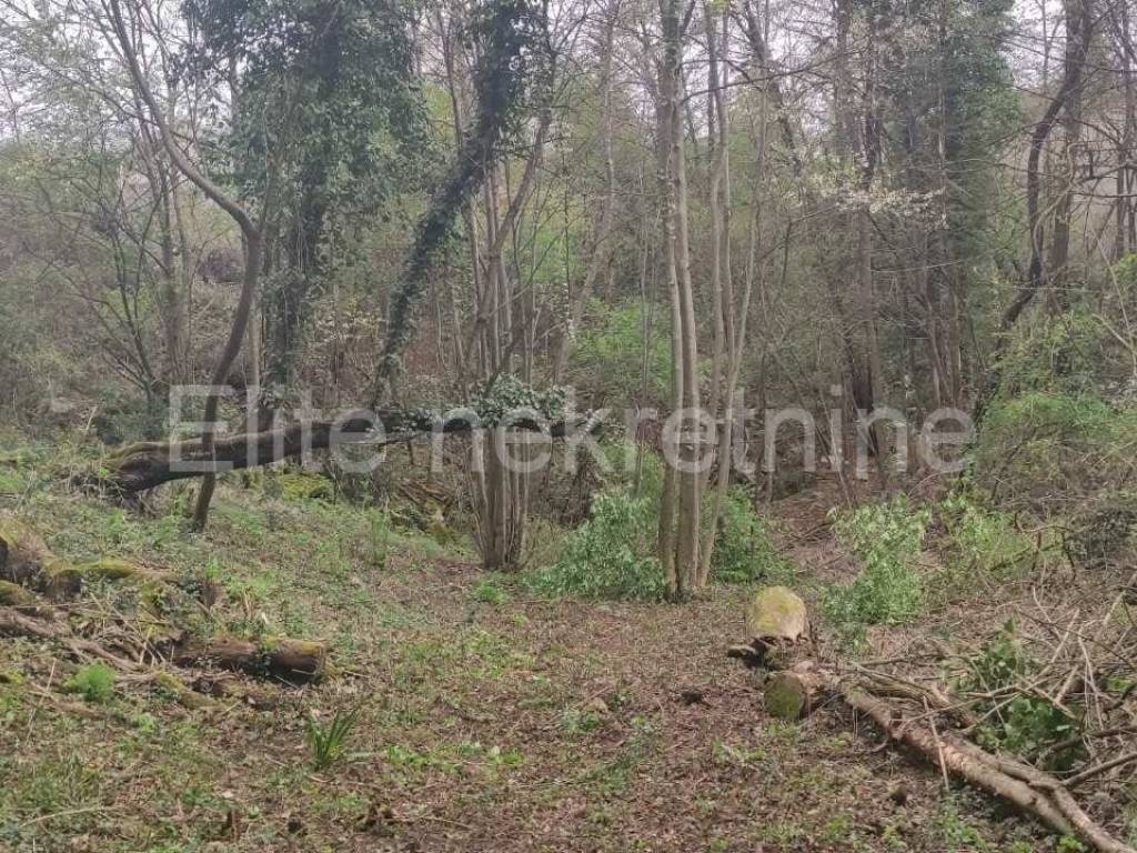 Plot for construction, Sale, Viškovo, Sroki