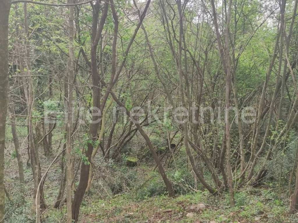 Plot for construction, Sale, Viškovo, Sroki