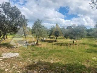 Poljoprivredno zemljište, Prodaja, Vodnjan, Vodnjan