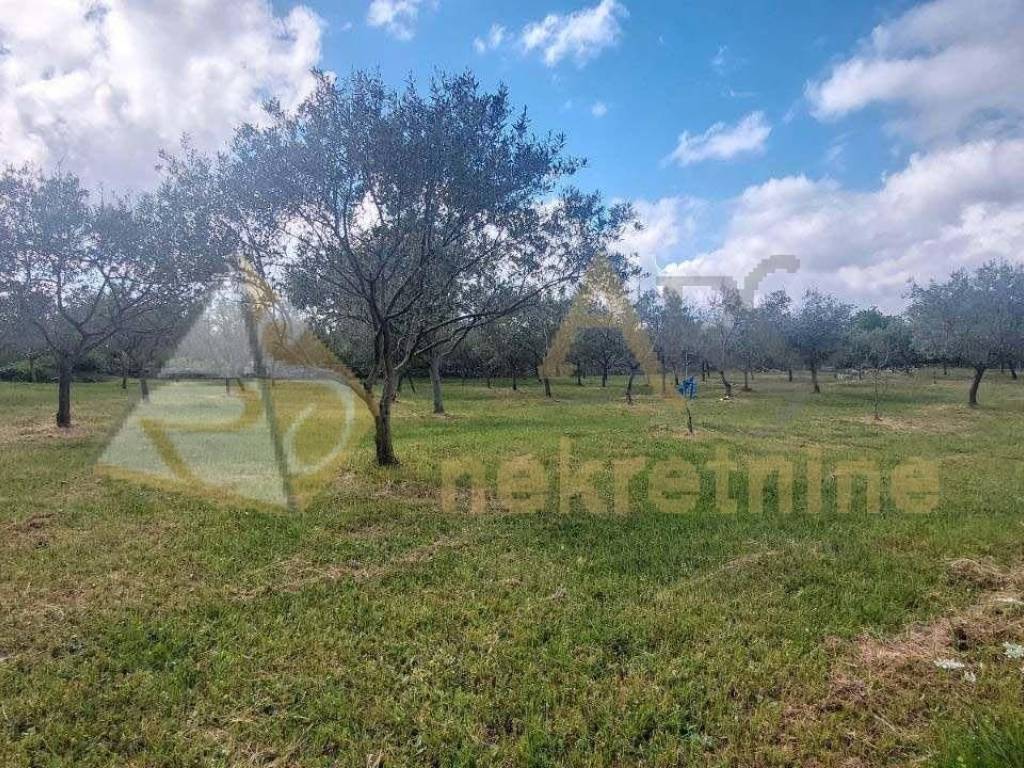 Poljoprivredno zemljište, Prodaja, Vodnjan, Vodnjan