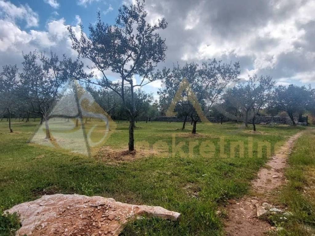 Poljoprivredno zemljište, Prodaja, Vodnjan, Vodnjan