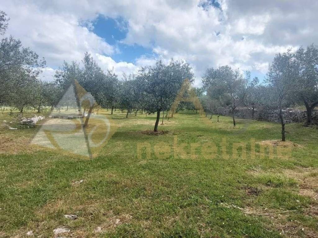 Poljoprivredno zemljište, Prodaja, Vodnjan, Vodnjan