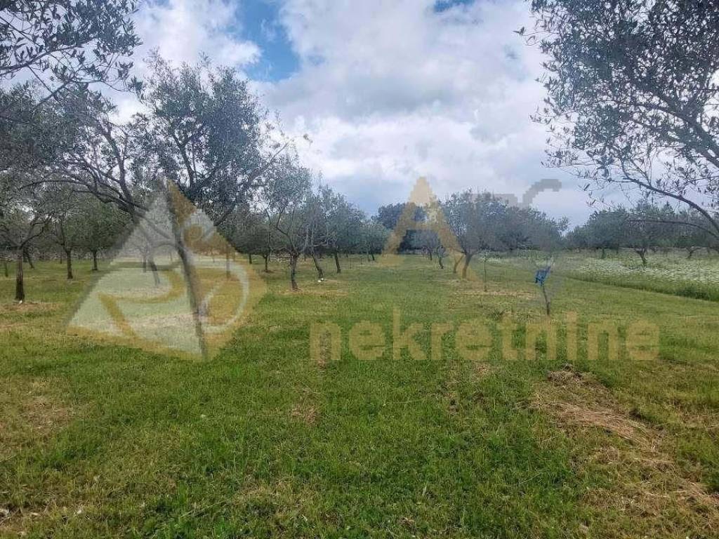 Poljoprivredno zemljište, Prodaja, Vodnjan, Vodnjan