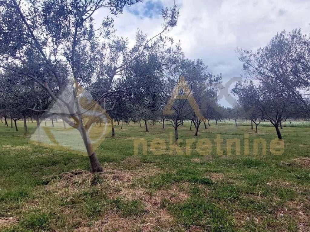 Poljoprivredno zemljište, Prodaja, Vodnjan, Vodnjan
