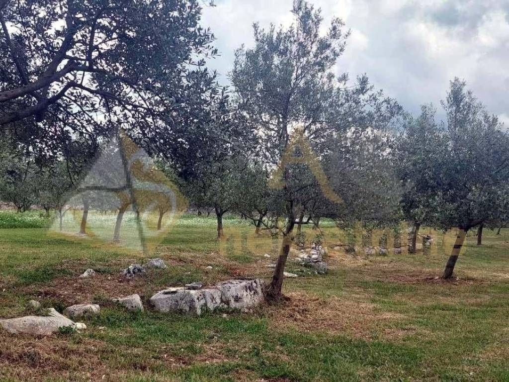 Poljoprivredno zemljište, Prodaja, Vodnjan, Vodnjan