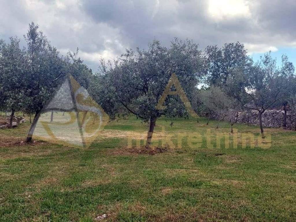 Poljoprivredno zemljište, Prodaja, Vodnjan, Vodnjan