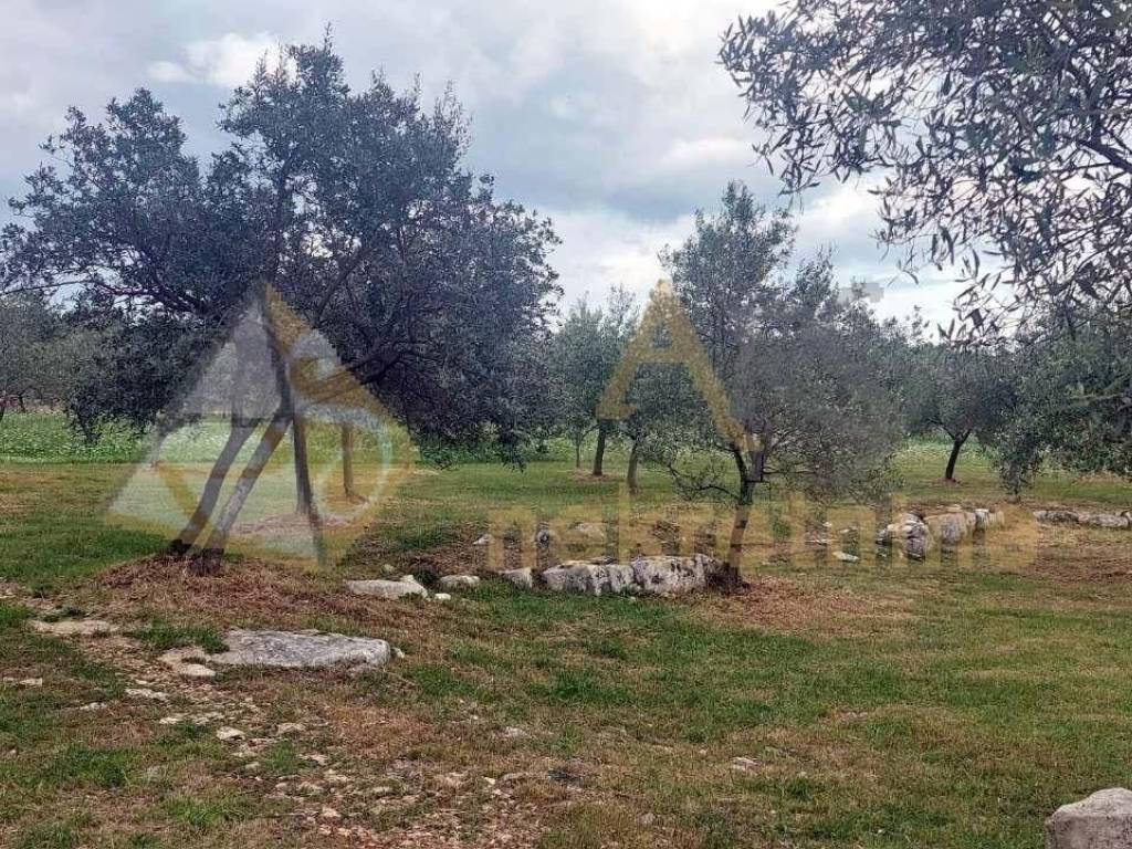 Poljoprivredno zemljište, Prodaja, Vodnjan, Vodnjan