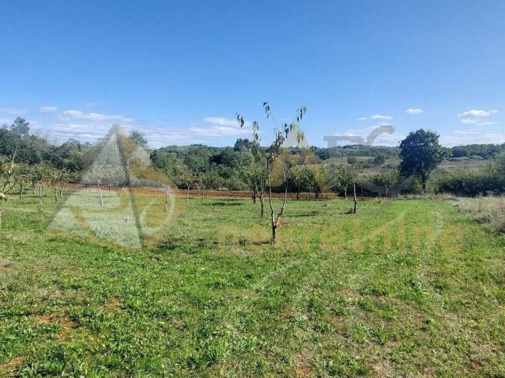 Gradevinsko stambeno zemljište, Prodaja, Višnjan, Višnjan