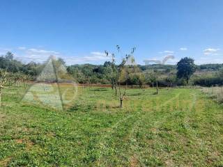 Plot for residential construction, Sale, Višnjan, Višnjan