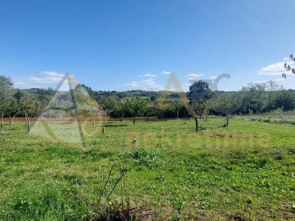 Gradevinsko stambeno zemljište, Prodaja, Višnjan, Višnjan