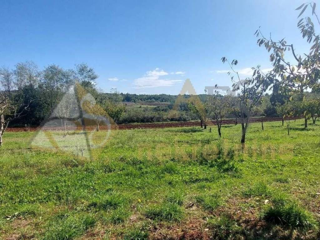 Gradevinsko stambeno zemljište, Prodaja, Višnjan, Višnjan