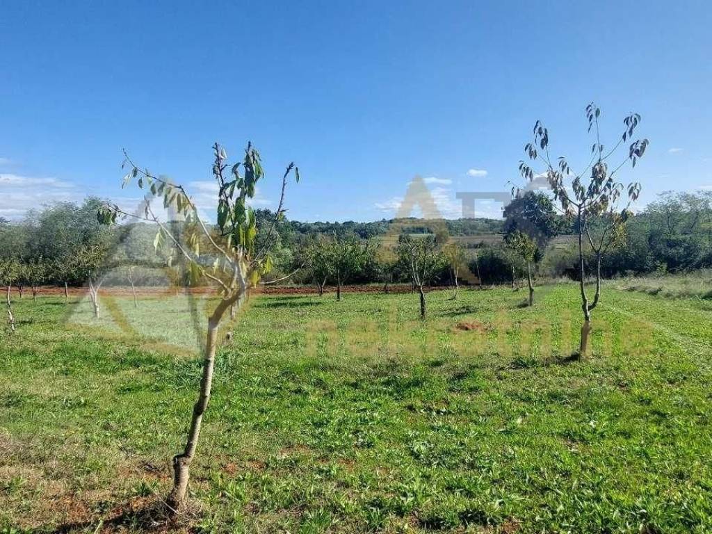 Gradevinsko stambeno zemljište, Prodaja, Višnjan, Višnjan