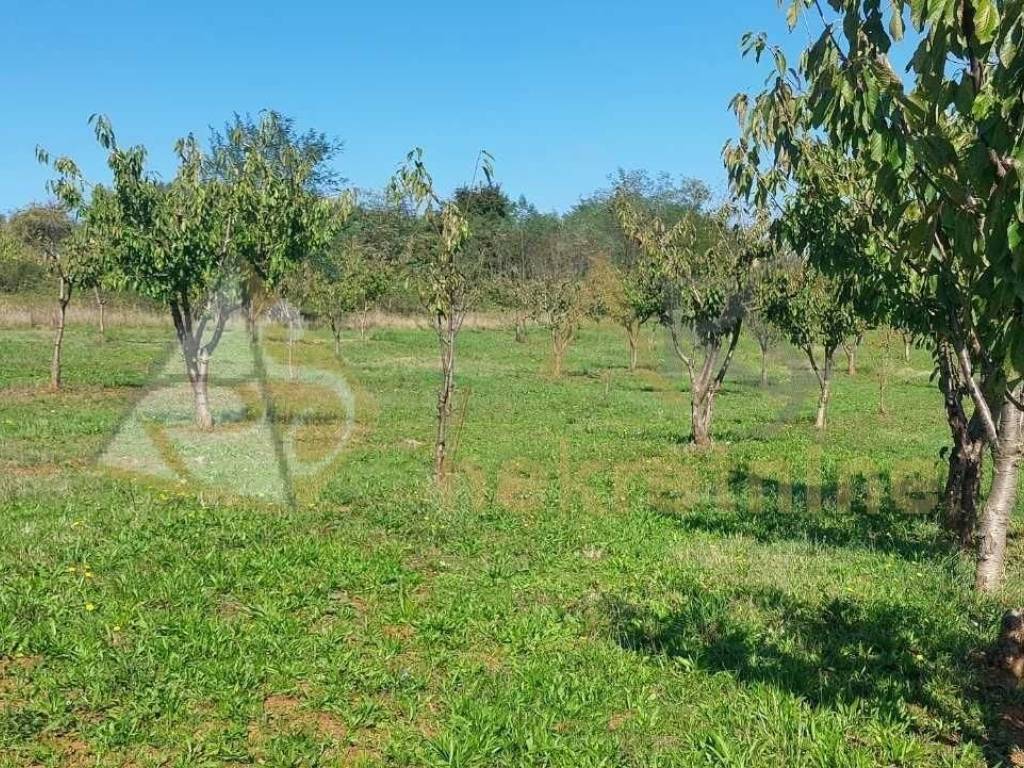 Gradevinsko stambeno zemljište, Prodaja, Višnjan, Višnjan