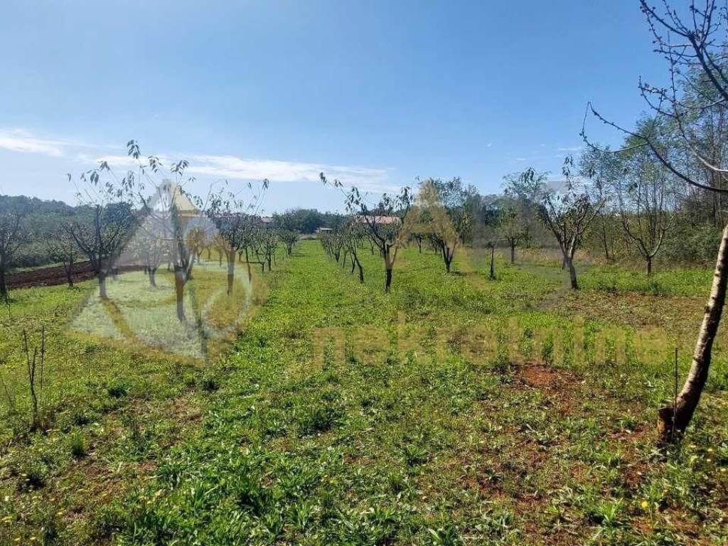 Gradevinsko stambeno zemljište, Prodaja, Višnjan, Višnjan