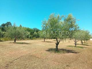 Agricultural plot, Sale, Rovinj, Rovinj