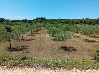 Agricultural plot, Sale, Rovinj, Rovinj