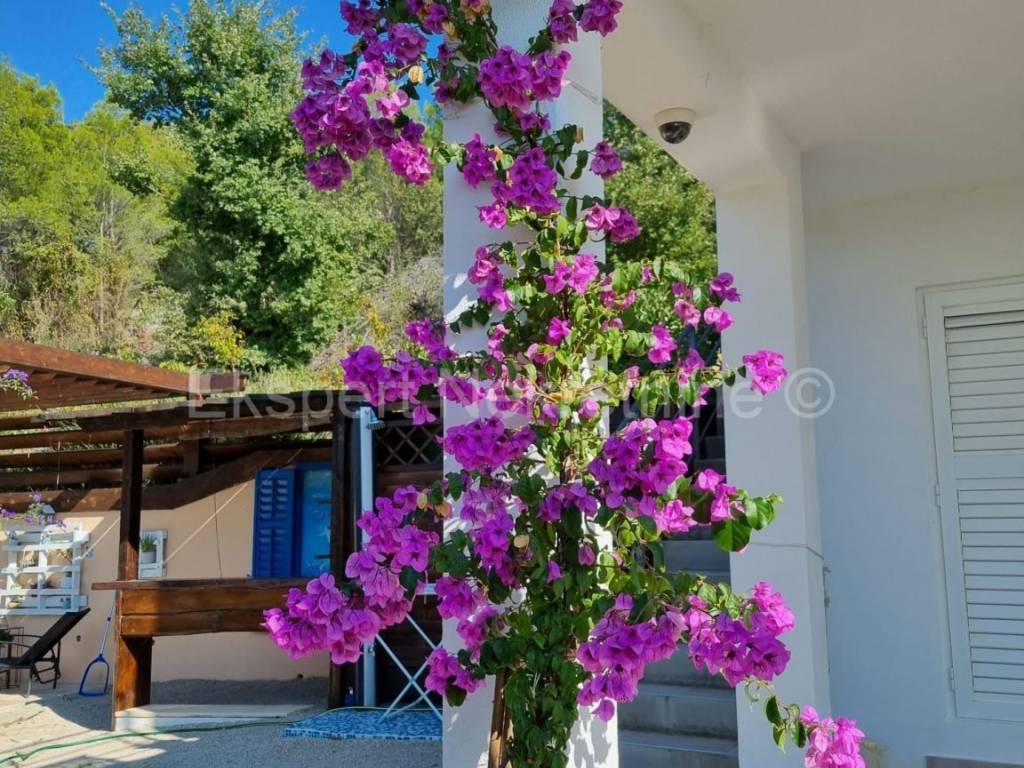 Detached house, Sale, Podstrana, Podstrana