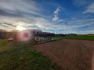 Family house, Sale, Cetingrad, Cetingrad