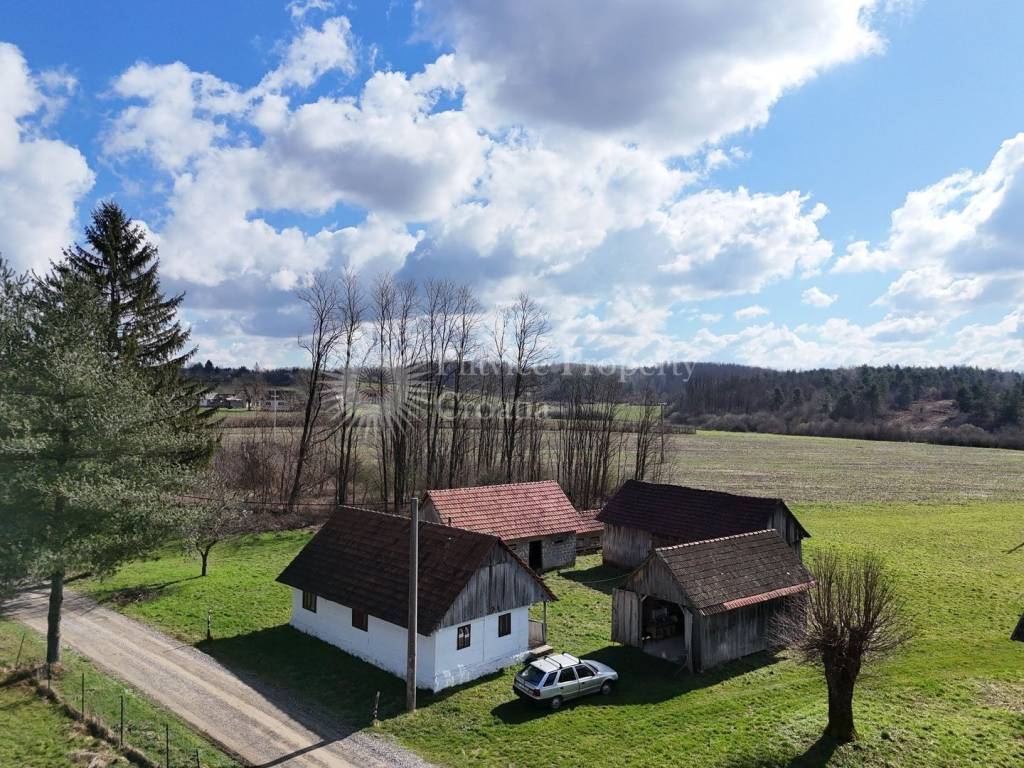 Obiteljska kuca, Prodaja, Barilovici, Svojic