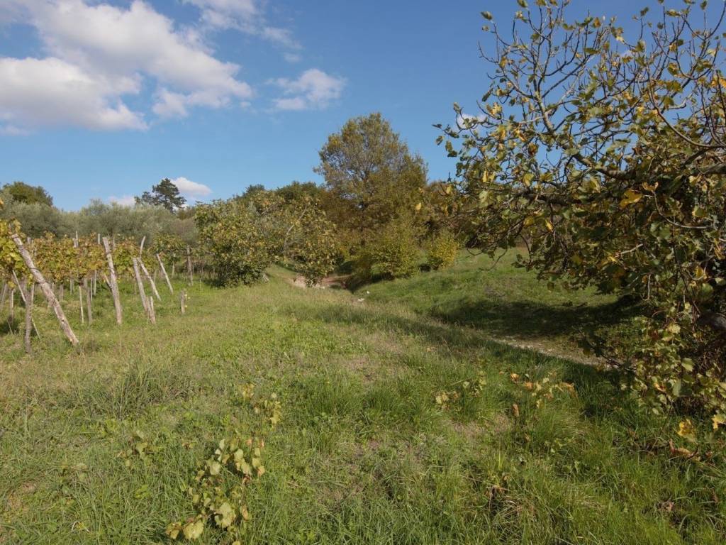 Plot for construction, Sale, Buzet, Buzet