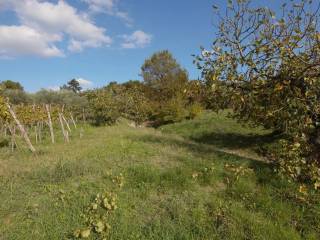 Plot for construction, Sale, Buzet, Buzet