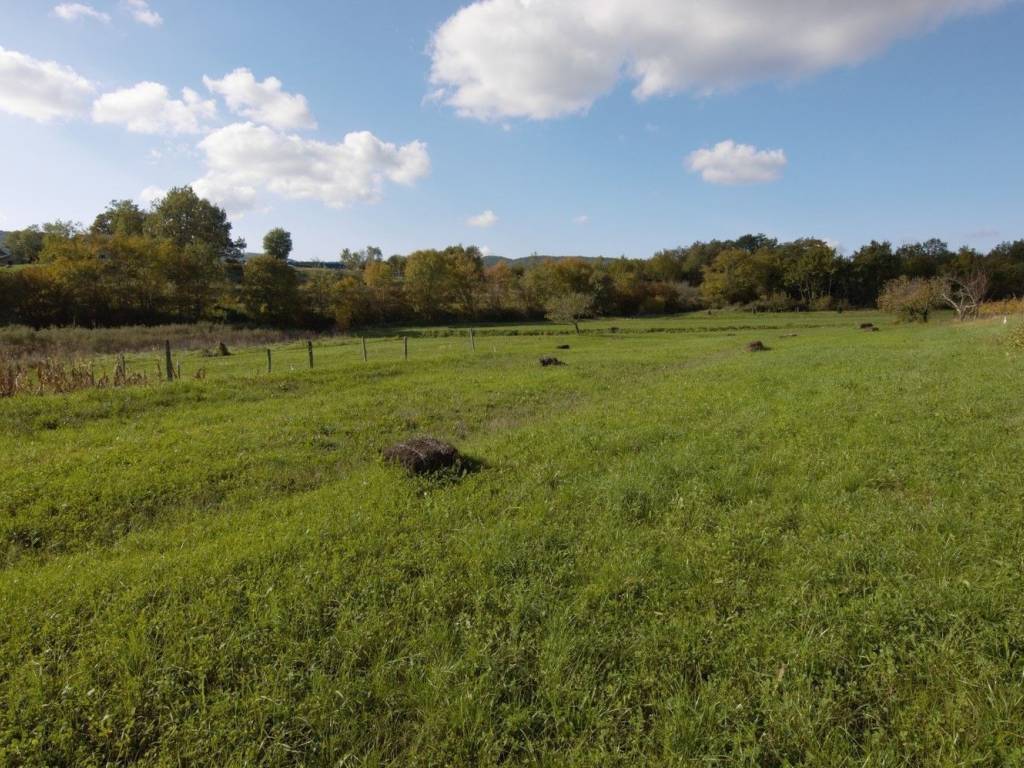 Plot for construction, Sale, Buzet, Buzet