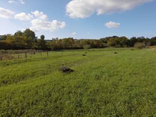 Plot for construction, Sale, Buzet, Buzet