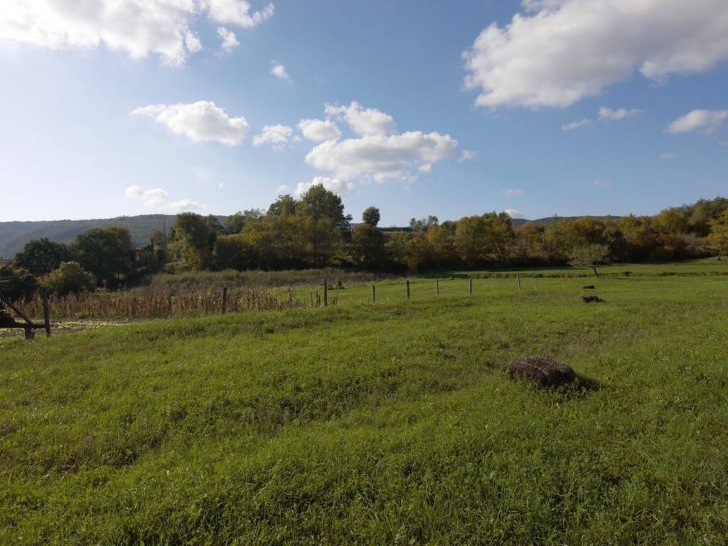 Plot for construction, Sale, Buzet, Buzet