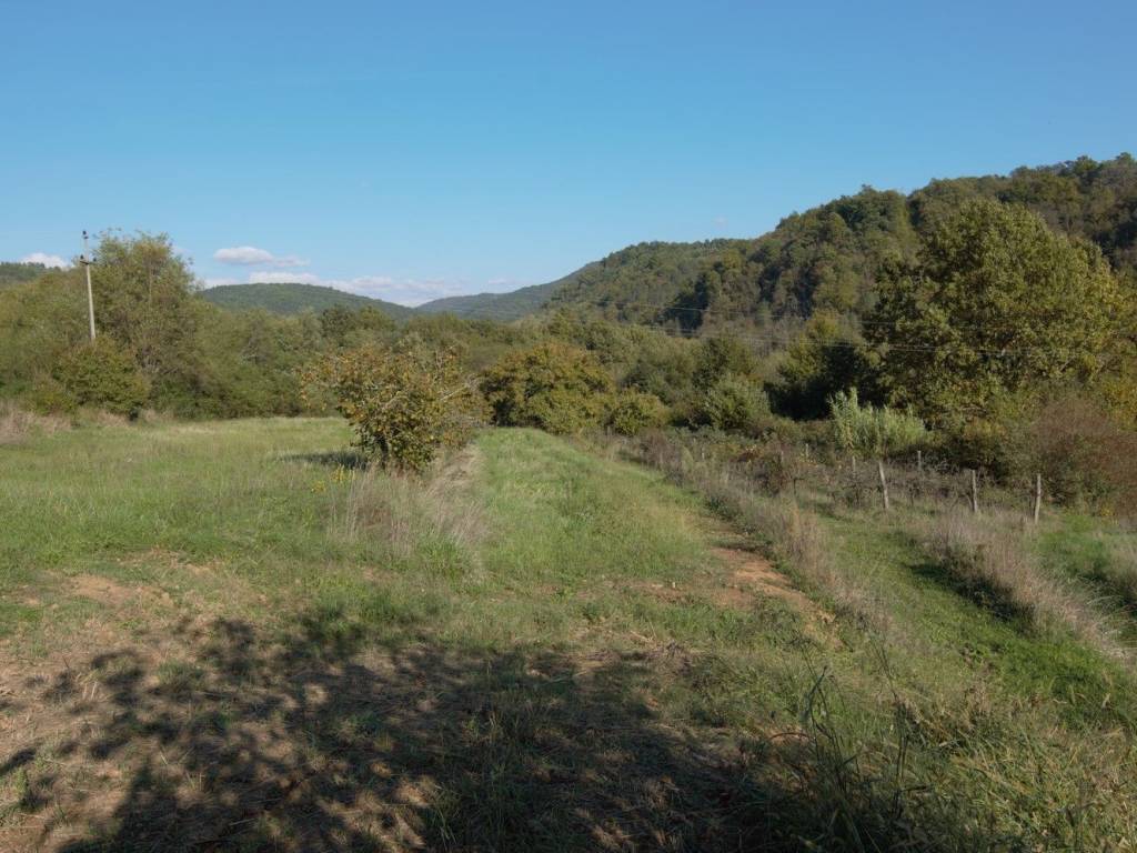 Plot for construction, Sale, Motovun, Motovun