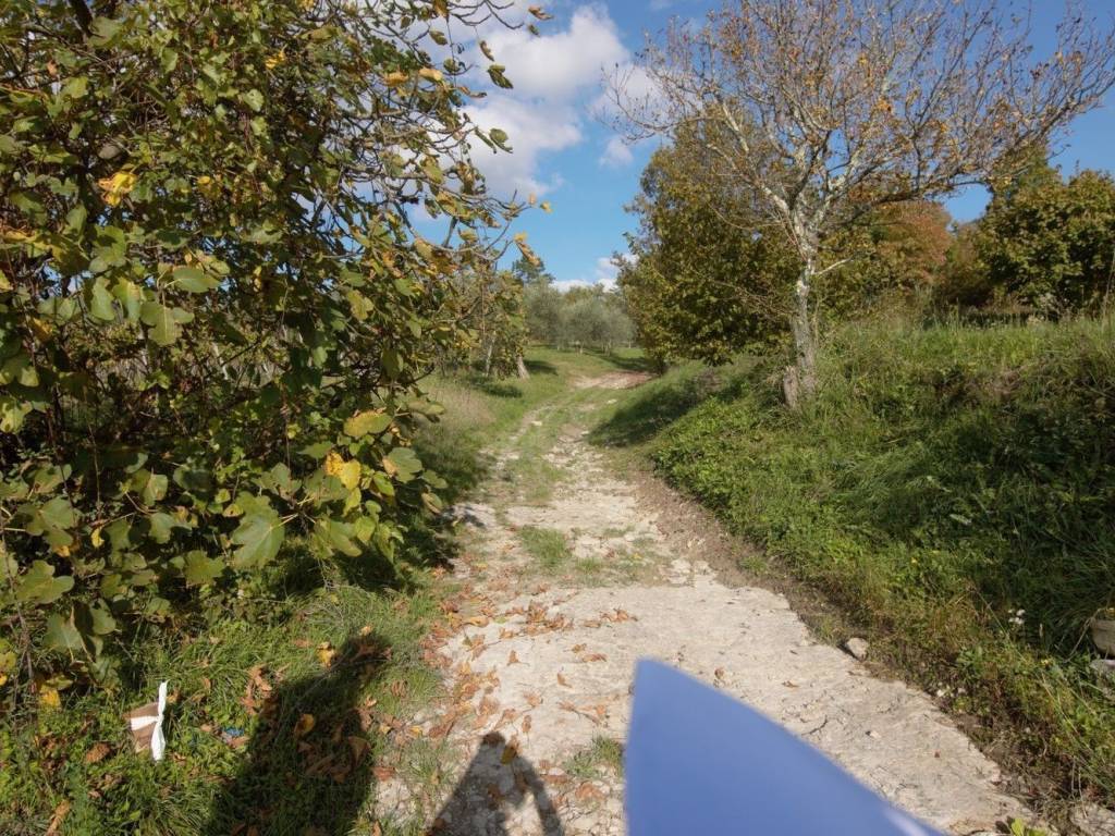 Plot for construction, Sale, Buzet, Buzet