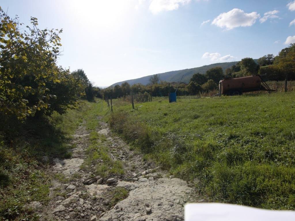 Plot for construction, Sale, Buzet, Buzet