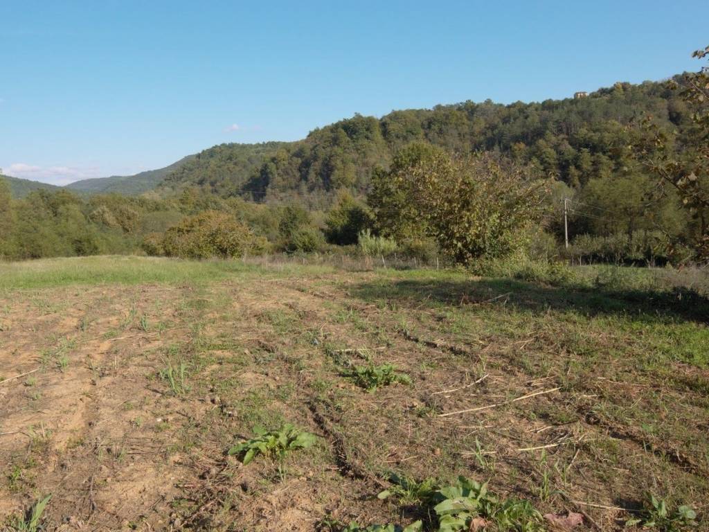 Plot for construction, Sale, Motovun, Motovun