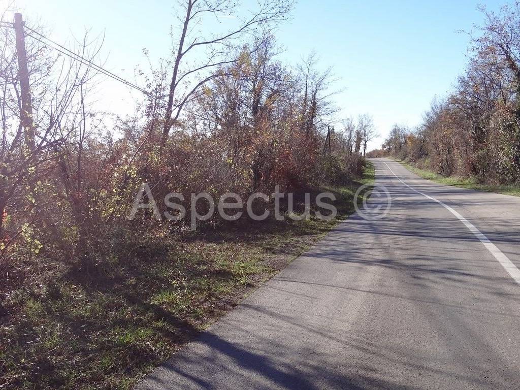 Land, Sale, Marčana