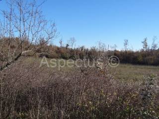 Land, Sale, Marčana