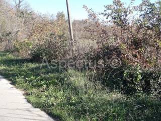 Land, Sale, Marčana