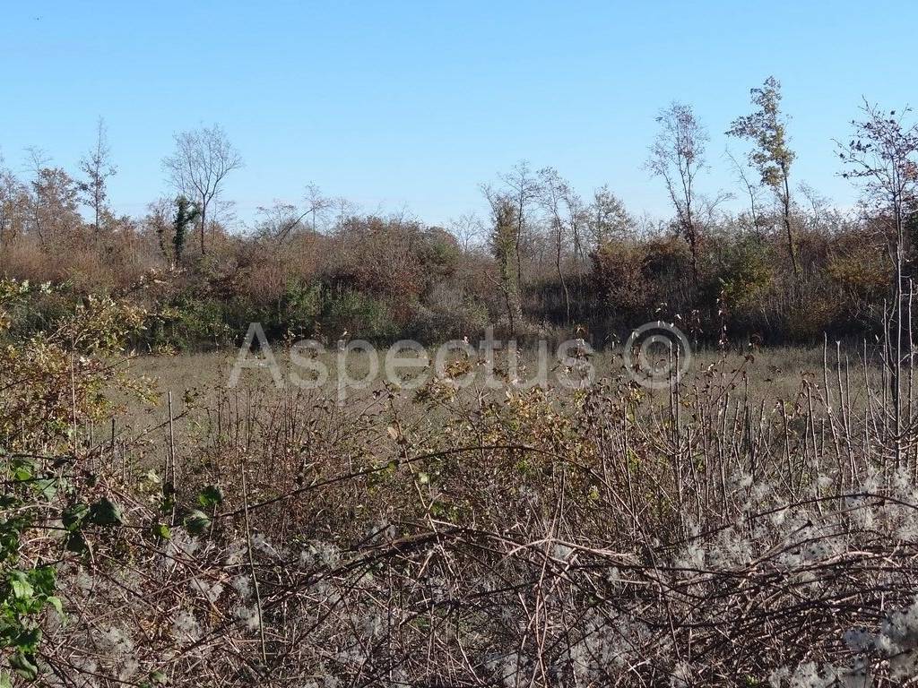 Land, Sale, Marčana
