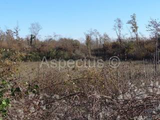 Land, Sale, Marčana