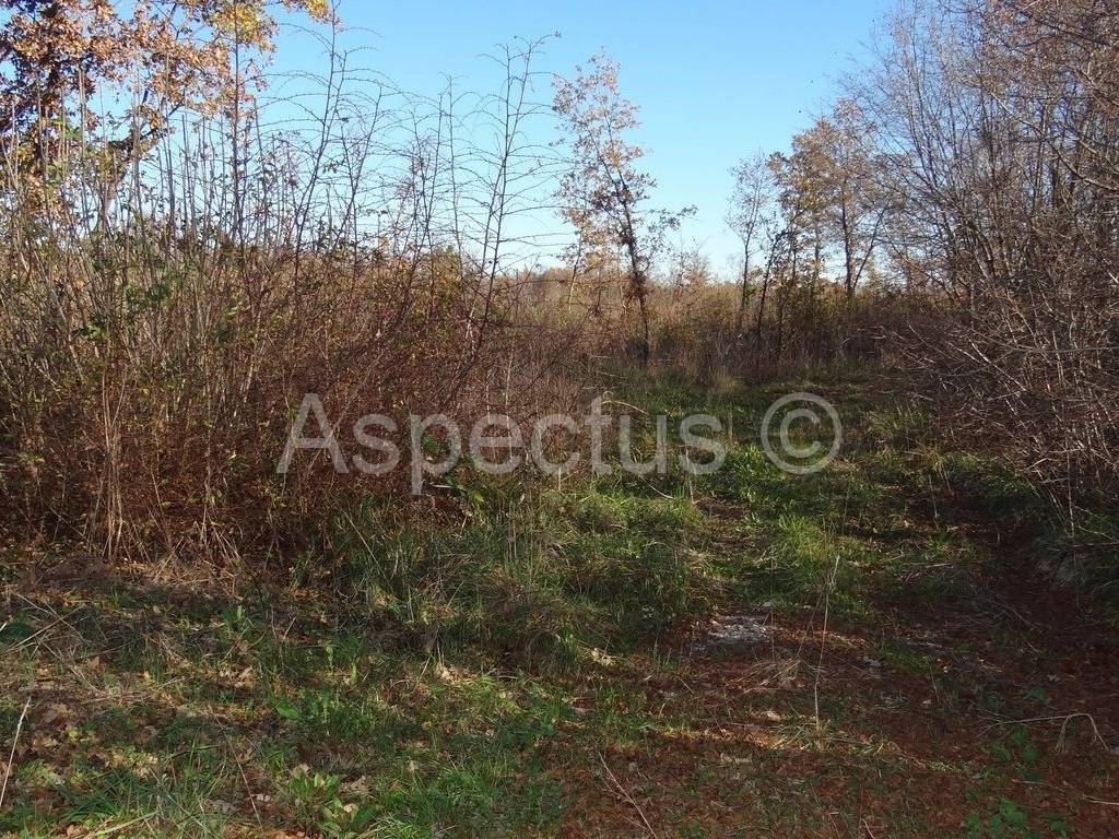Land, Sale, Marčana
