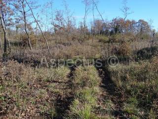 Land, Sale, Marčana