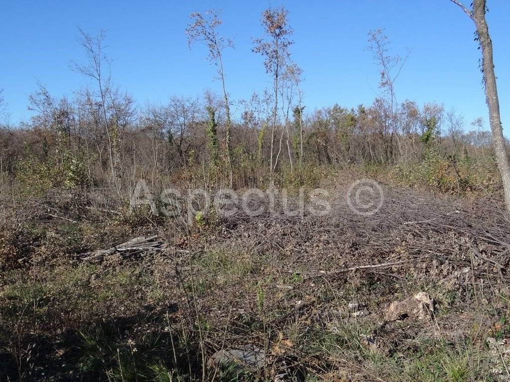 Land, Sale, Marčana