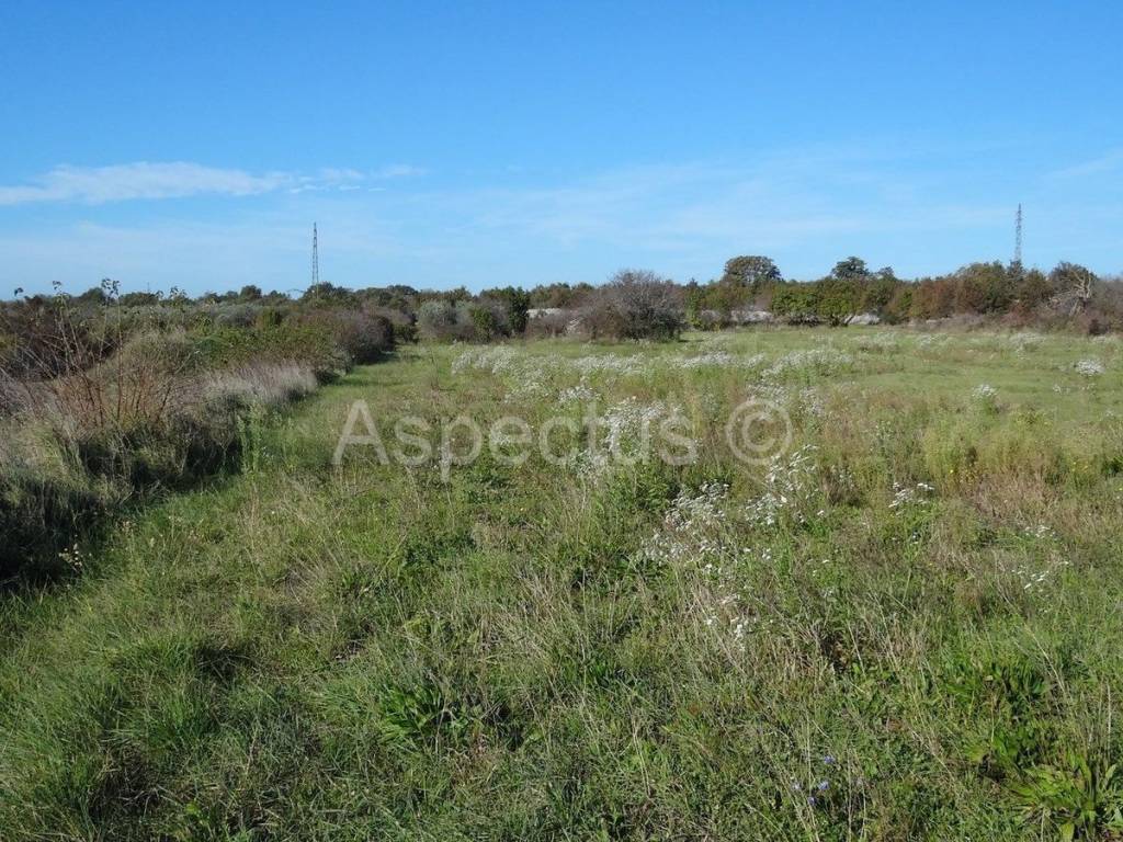 Land, Sale, Vodnjan