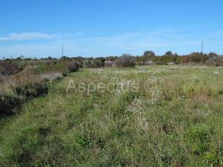 Land, Sale, Vodnjan