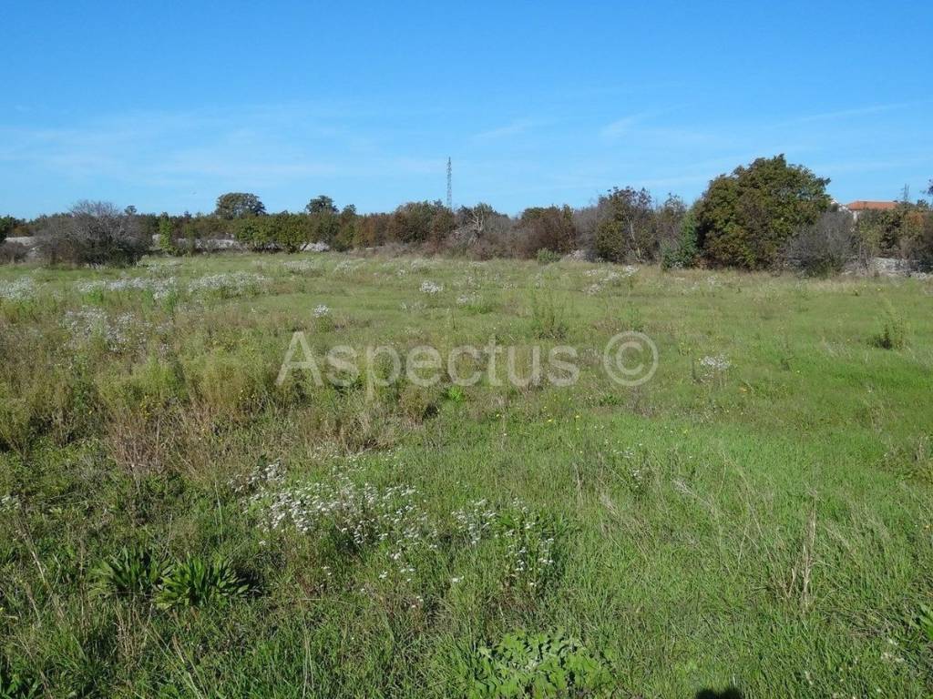 Land, Sale, Vodnjan