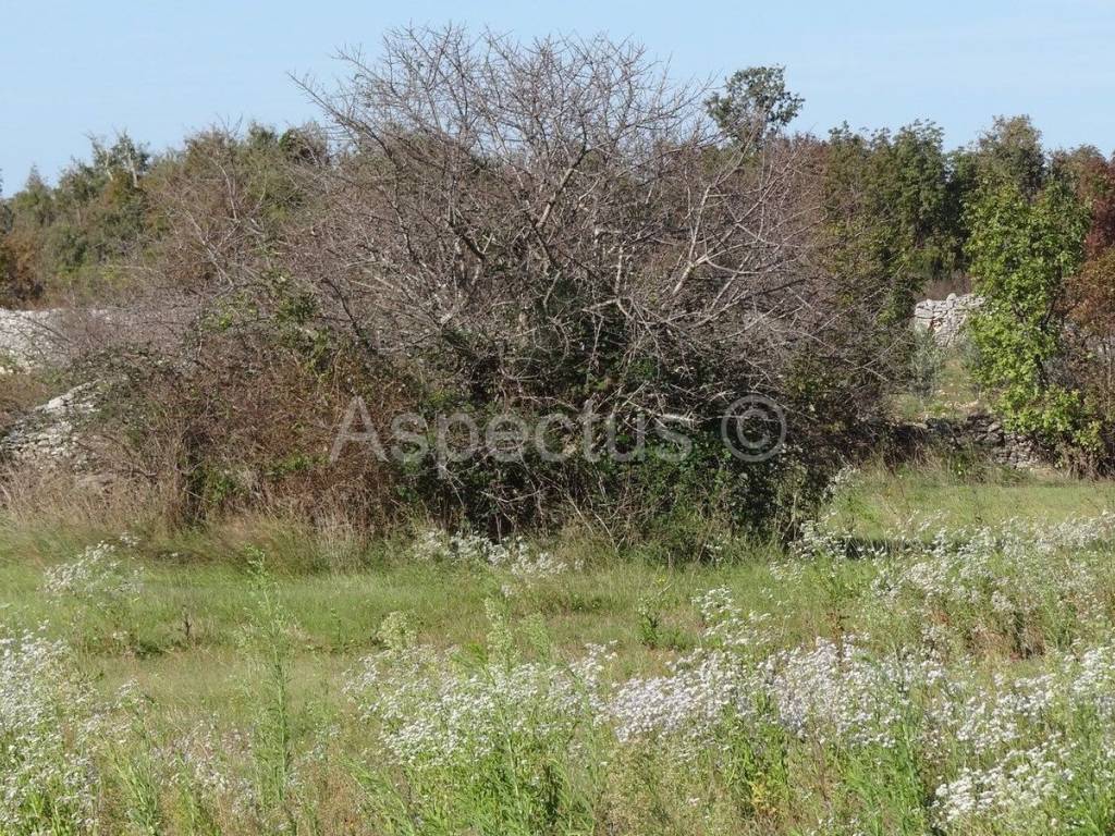 Land, Sale, Vodnjan