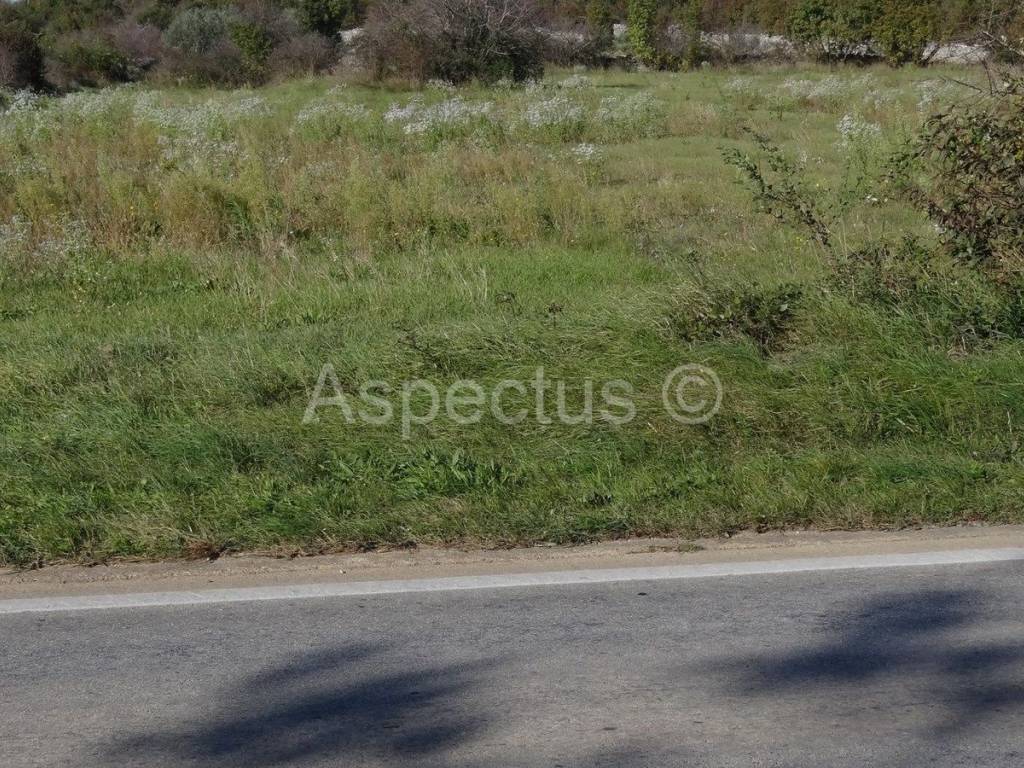 Land, Sale, Vodnjan