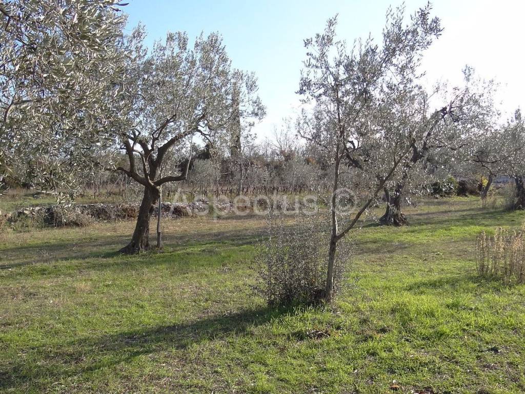 Land, Sale, Vodnjan, 2002m²