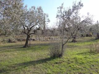 Land, Sale, Vodnjan, 2002m²